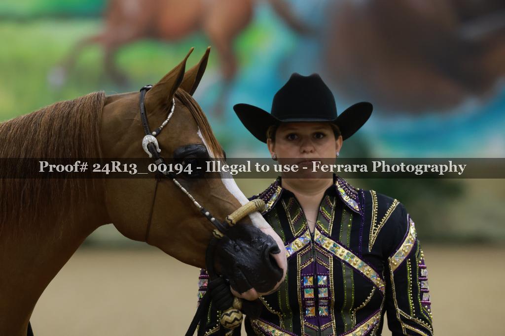 Proof 24R13_00194