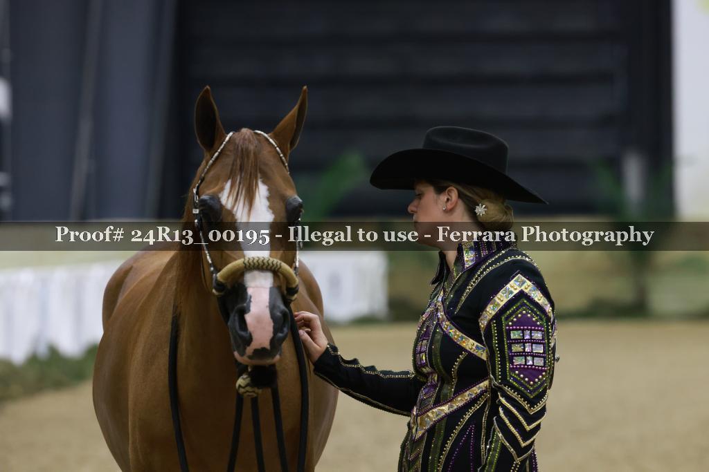 Proof 24R13_00195