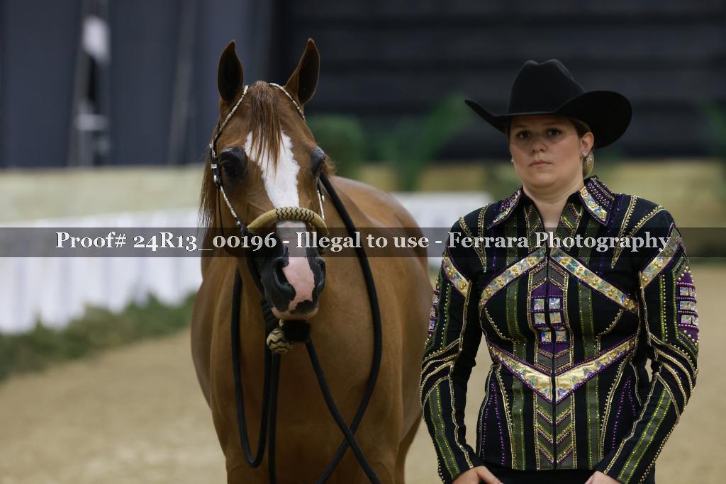 Proof 24R13_00196