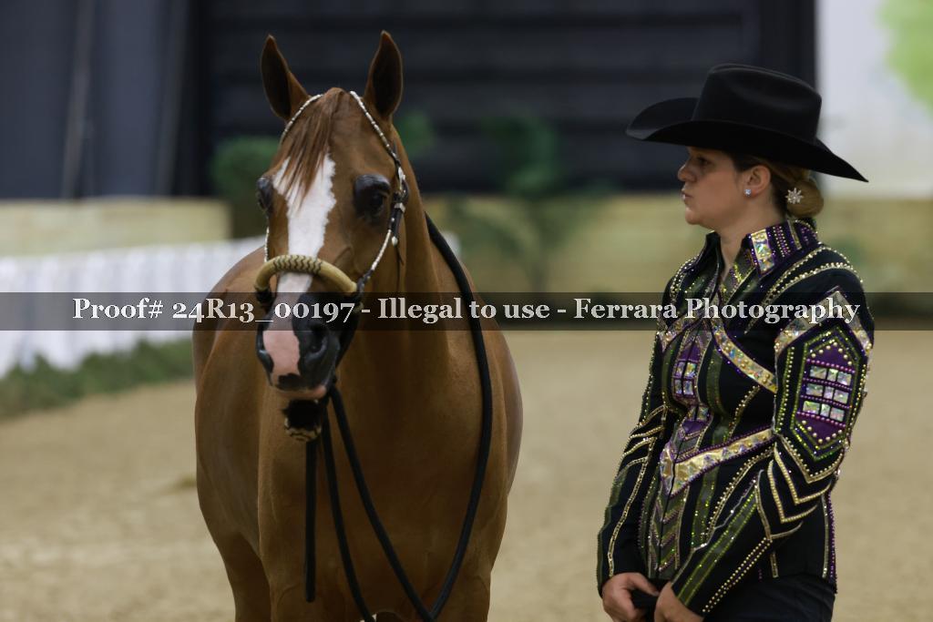Proof 24R13_00197