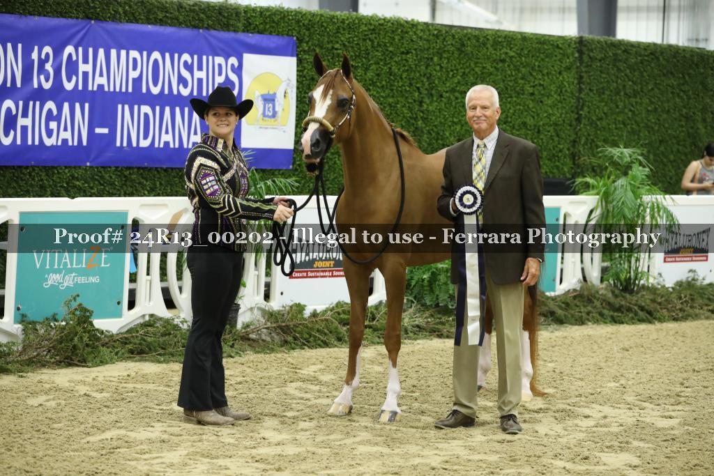 Proof 24R13_00202