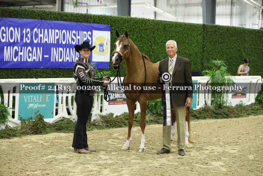 Proof 24R13_00203