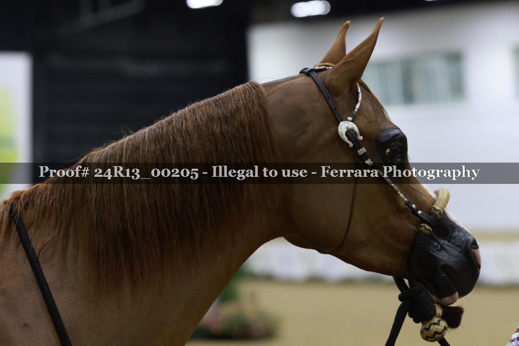 Proof 24R13_00205