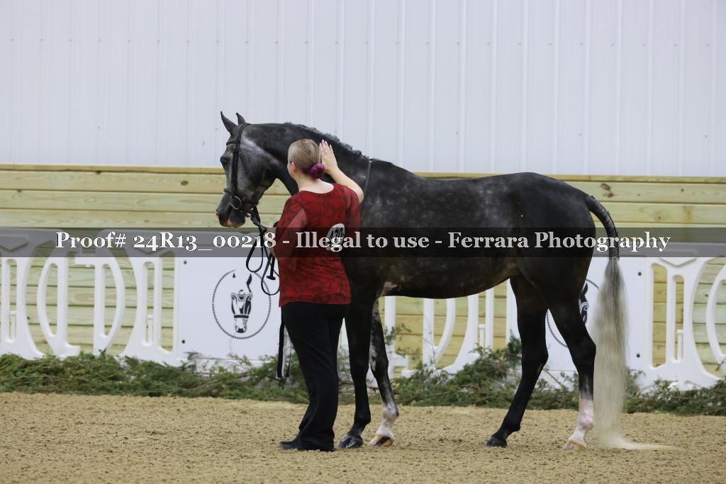 Proof 24R13_00218