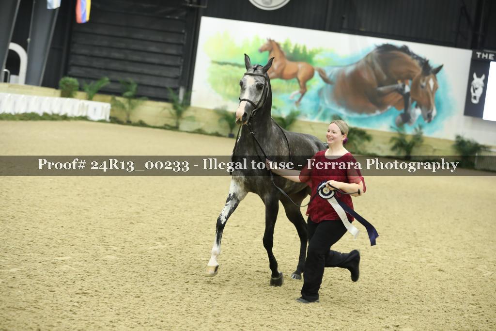 Proof 24R13_00233