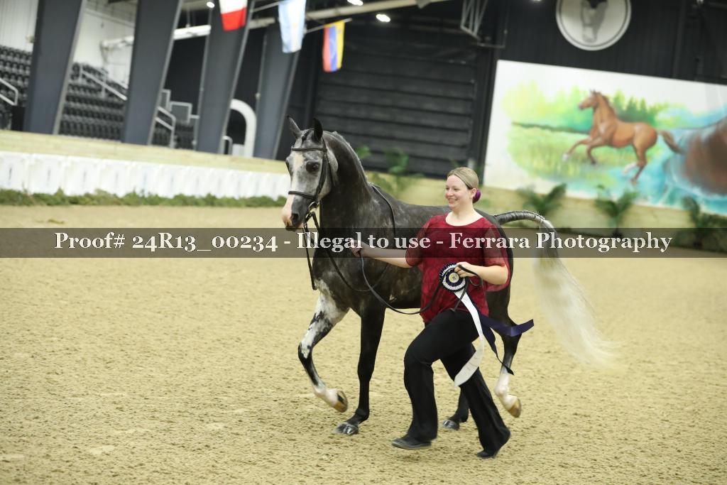 Proof 24R13_00234