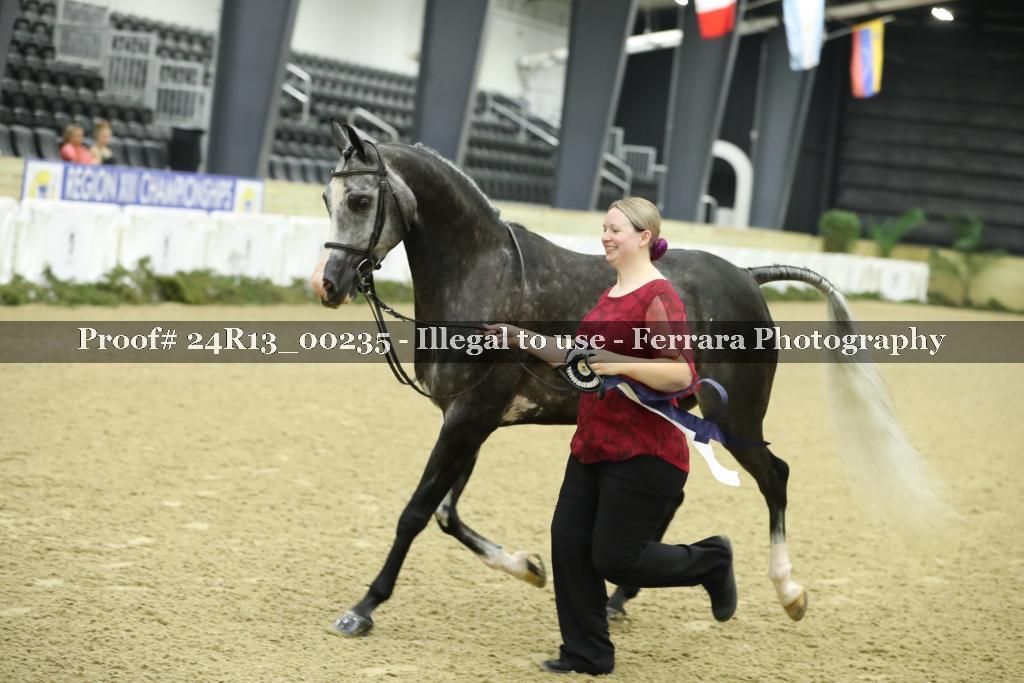 Proof 24R13_00235