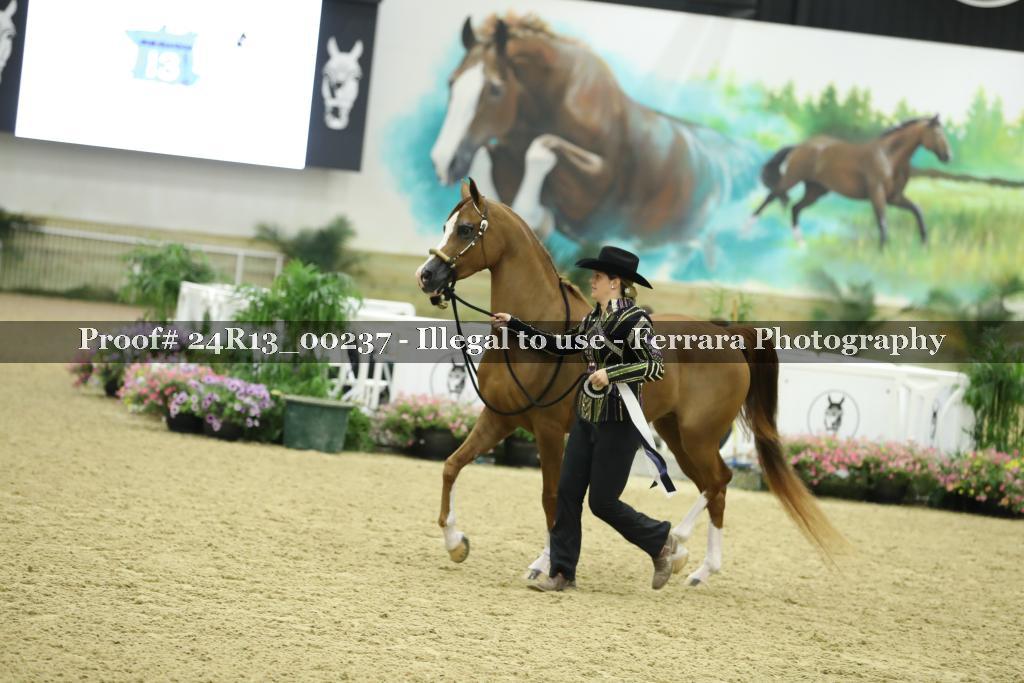 Proof 24R13_00237