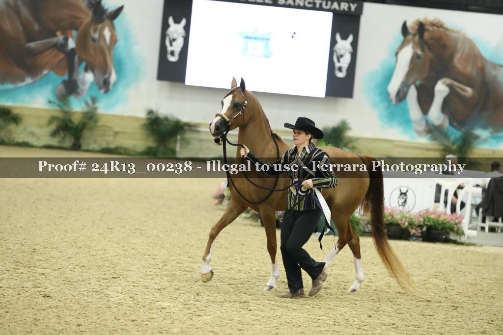 Proof 24R13_00238