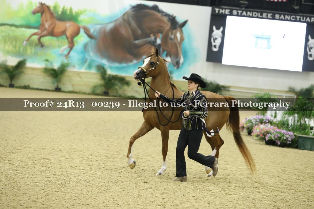 Proof 24R13_00239