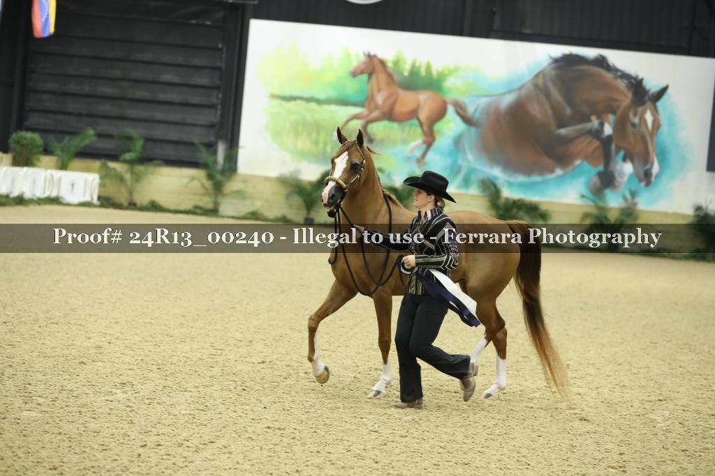 Proof 24R13_00240