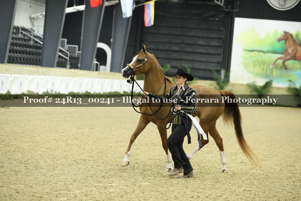 Proof 24R13_00241