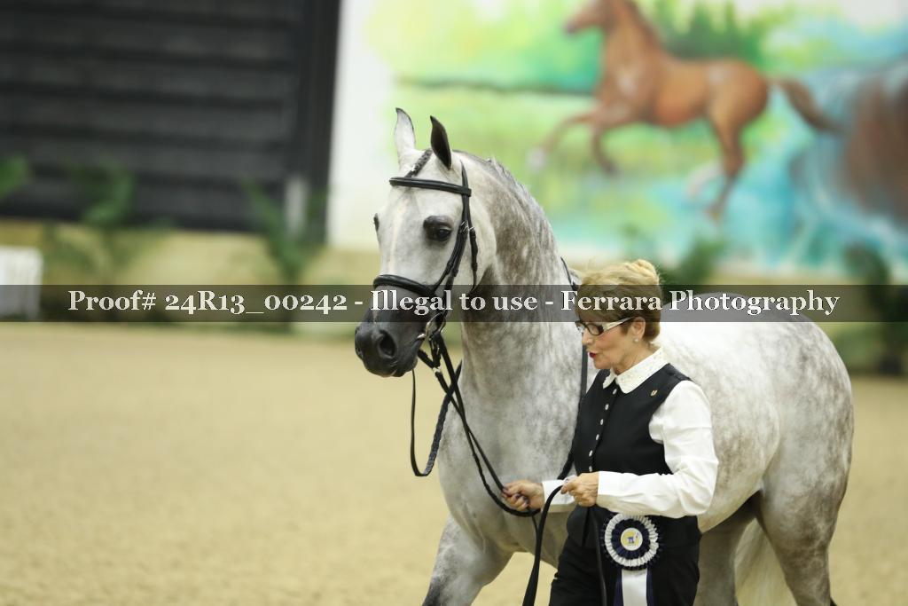 Proof 24R13_00242