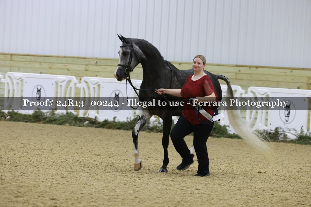 Proof 24R13_00244
