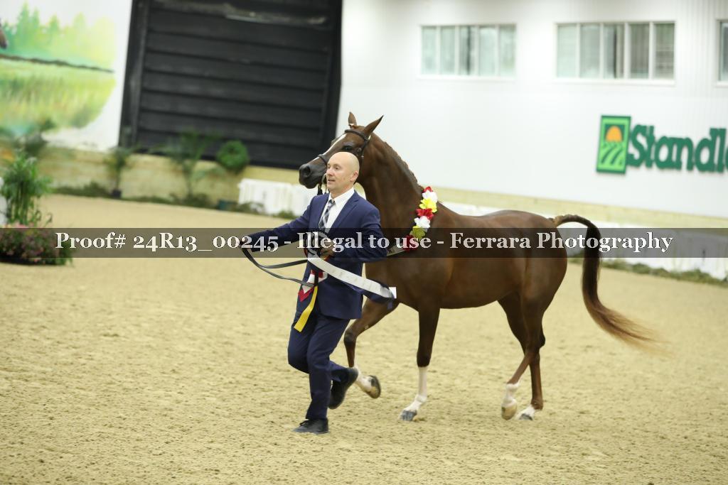 Proof 24R13_00245