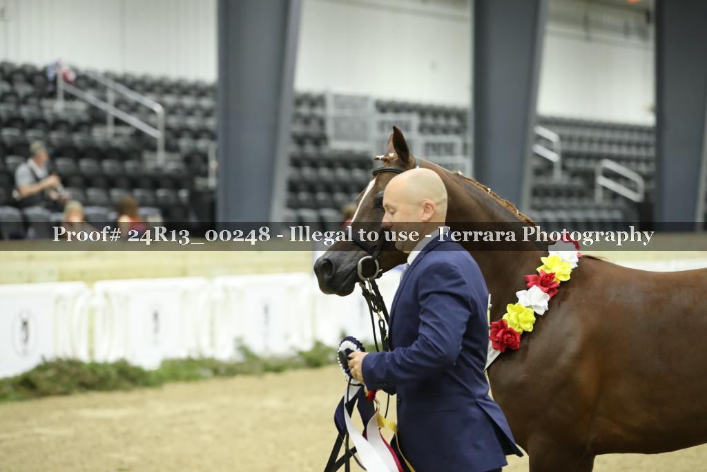 Proof 24R13_00248
