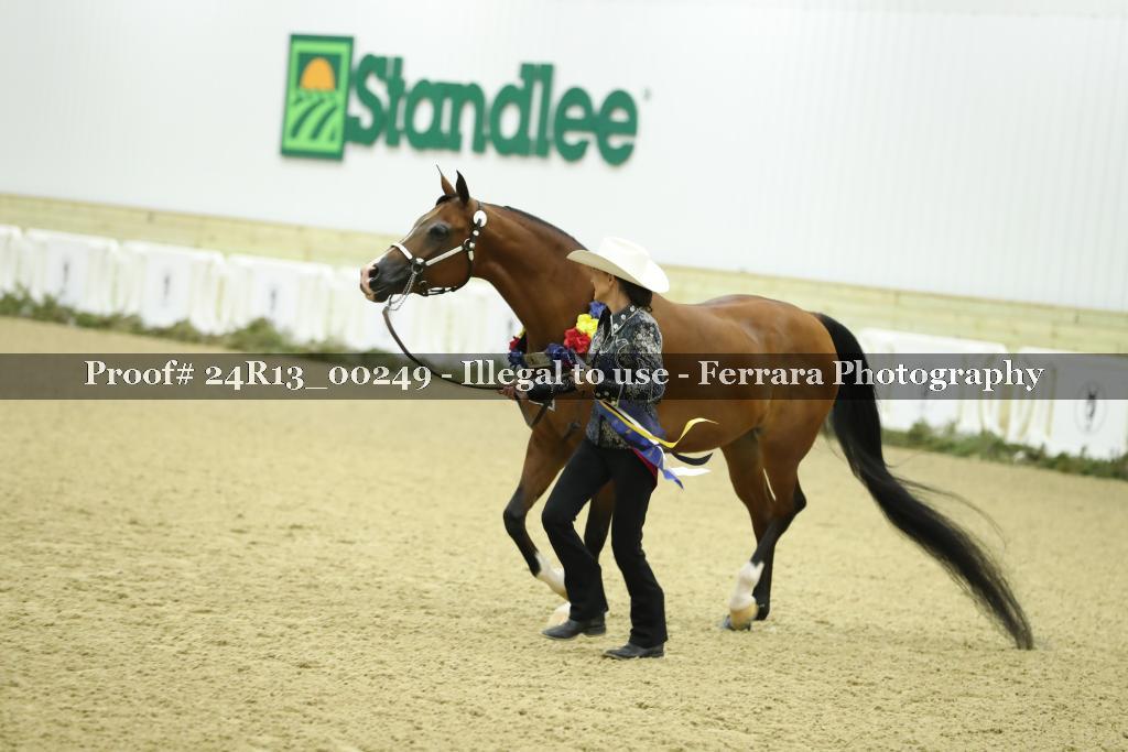 Proof 24R13_00249