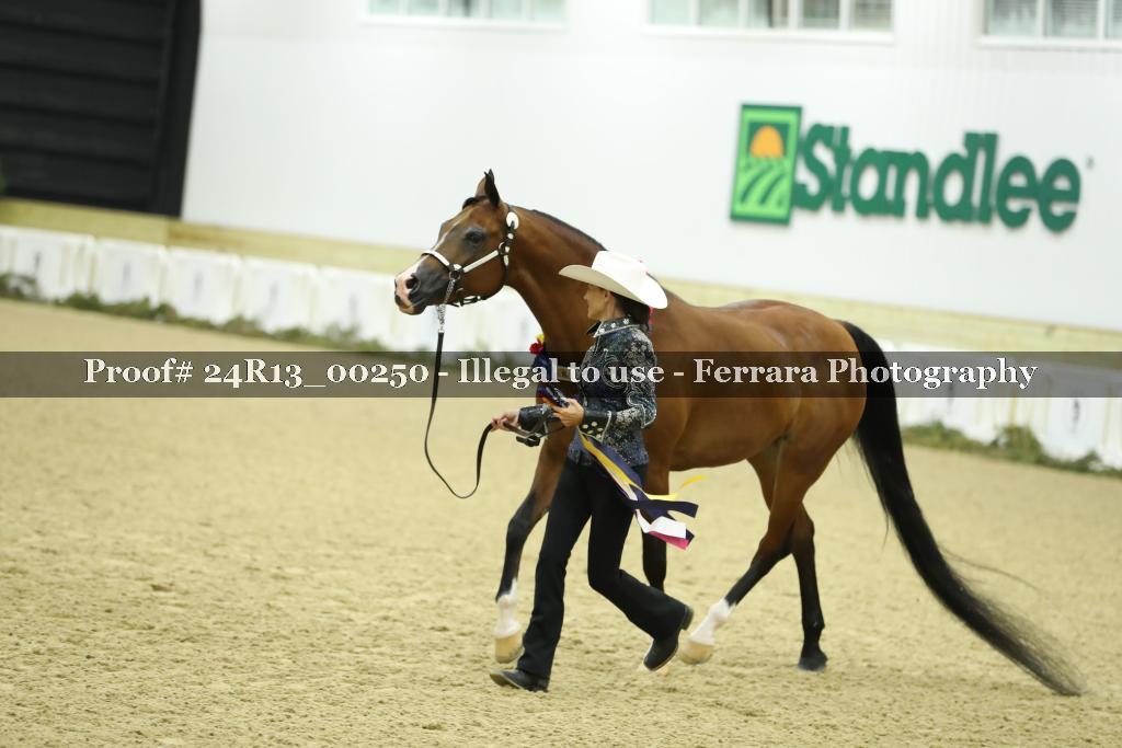 Proof 24R13_00250