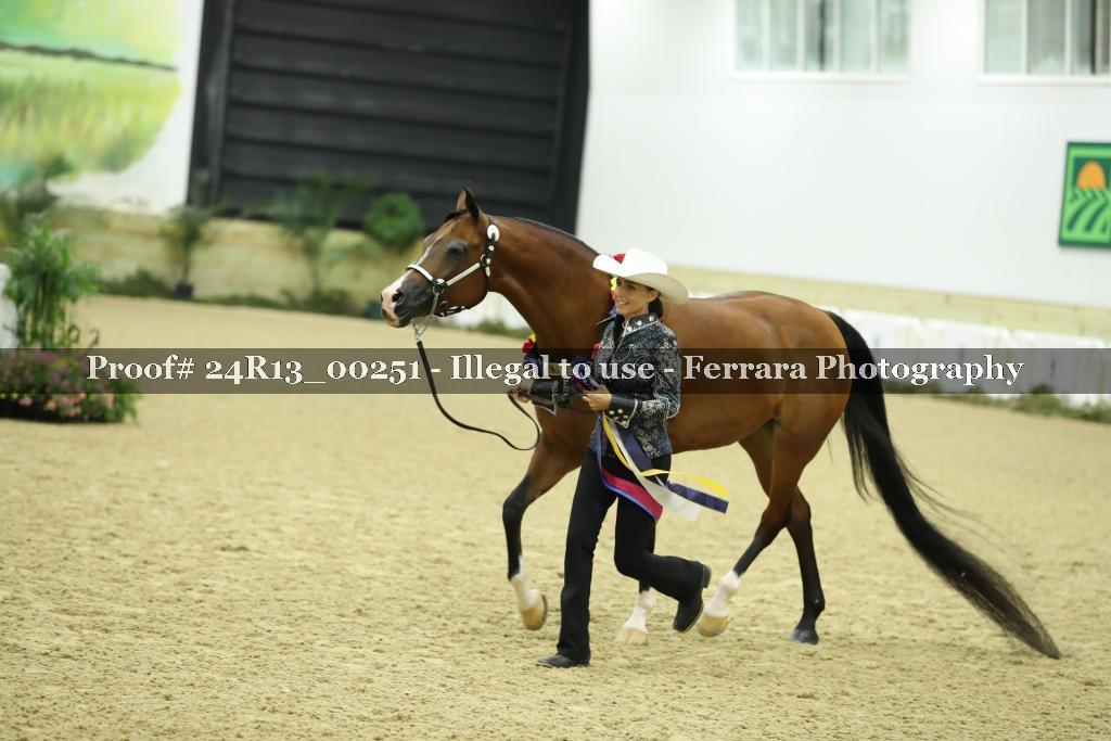 Proof 24R13_00251