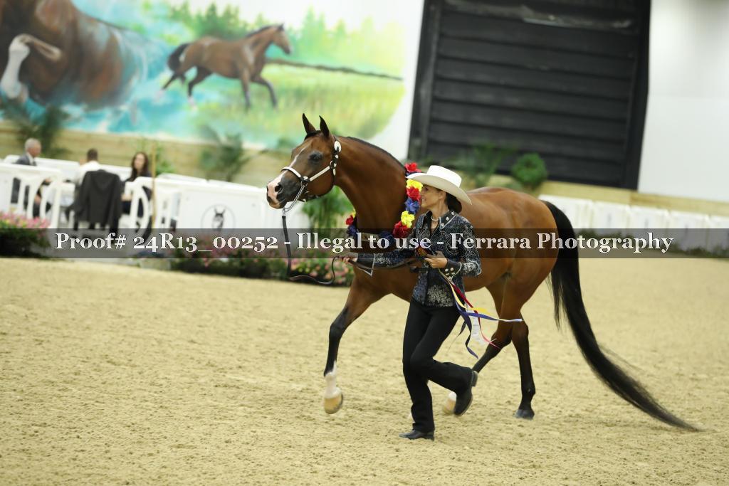 Proof 24R13_00252