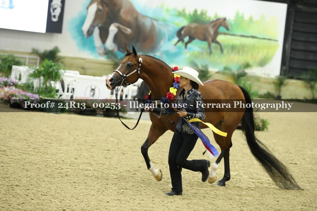 Proof 24R13_00253