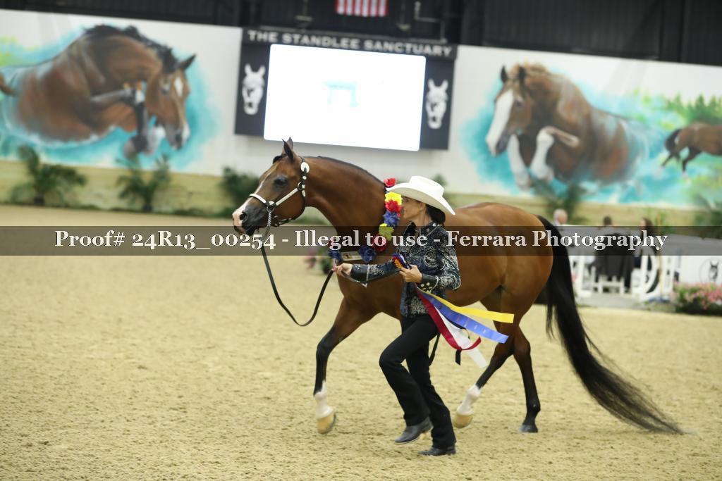 Proof 24R13_00254