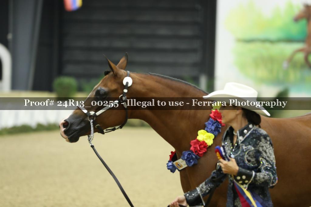 Proof 24R13_00255