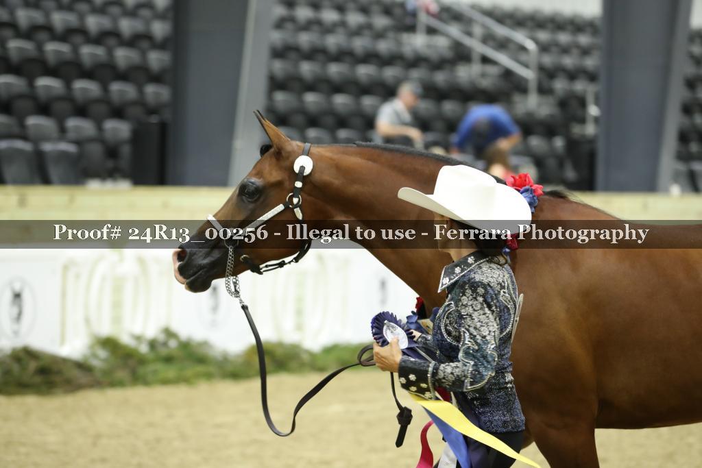 Proof 24R13_00256