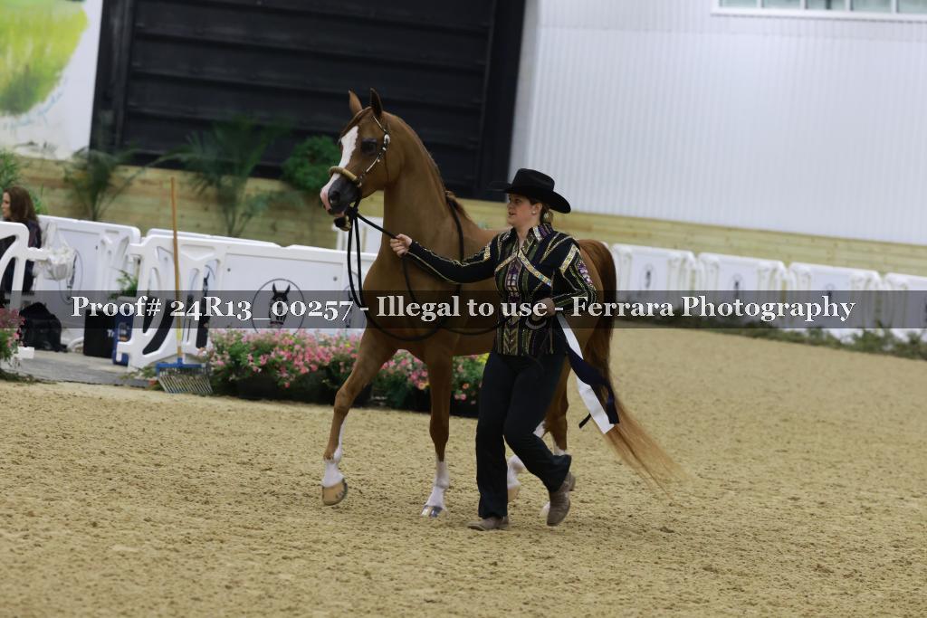 Proof 24R13_00257
