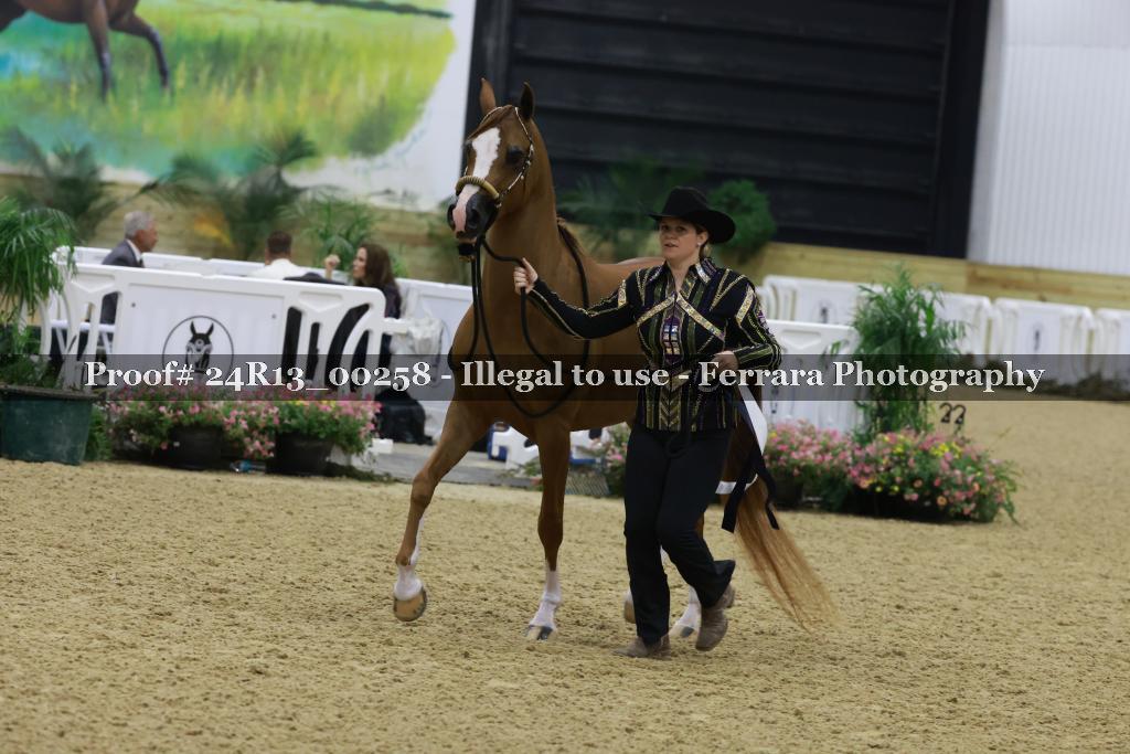 Proof 24R13_00258