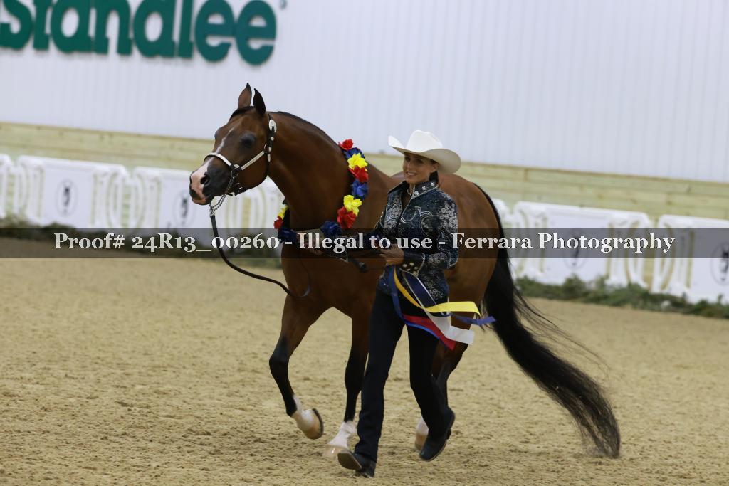 Proof 24R13_00260