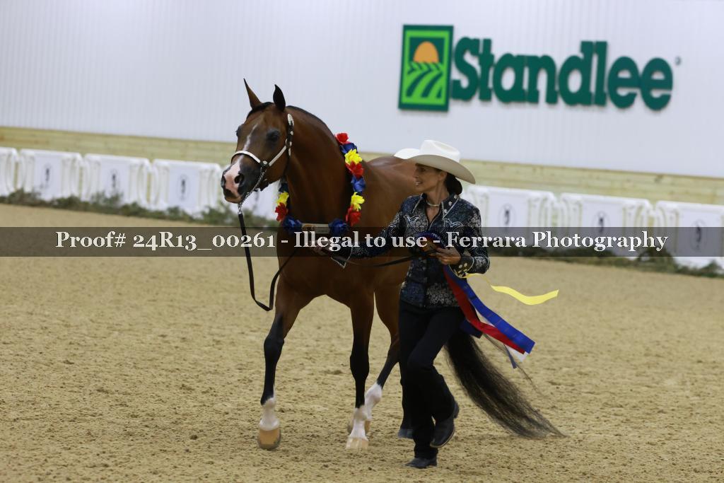 Proof 24R13_00261