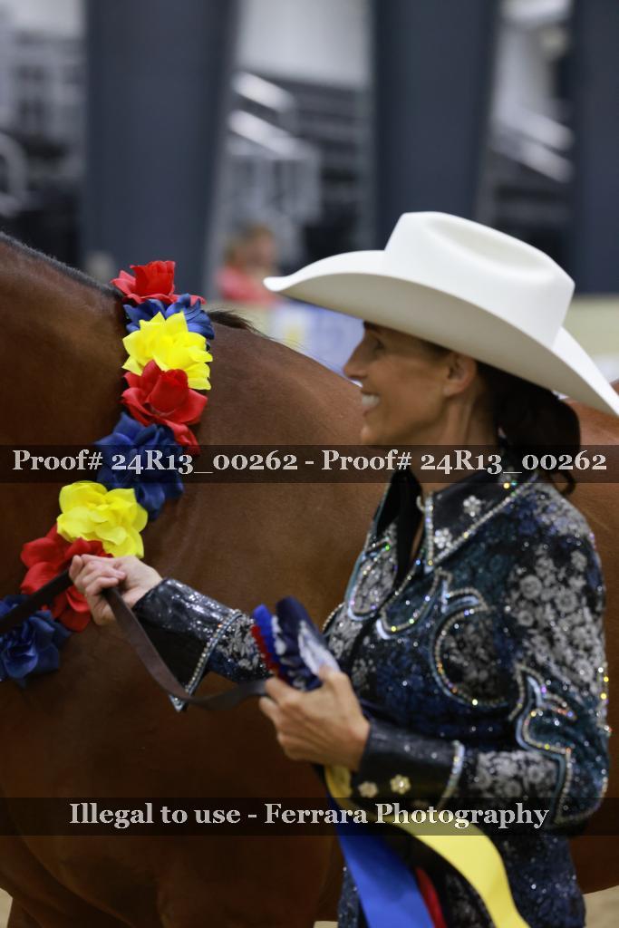 Proof 24R13_00262