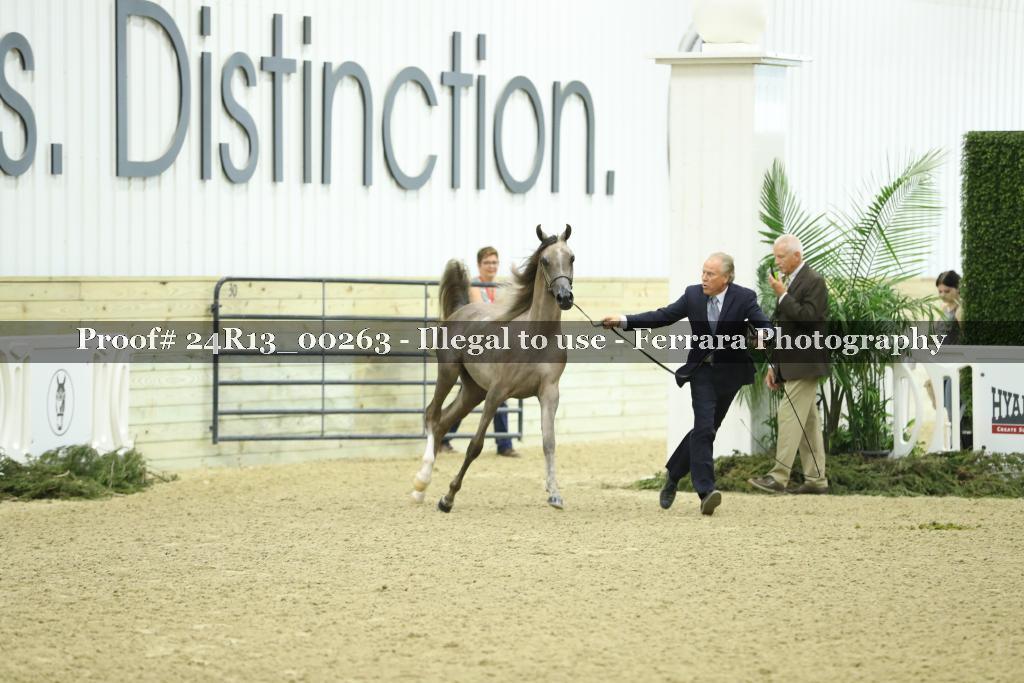Proof 24R13_00263