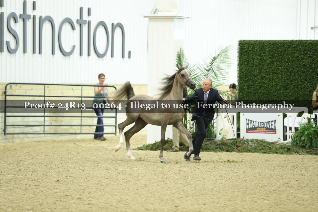 Proof 24R13_00264