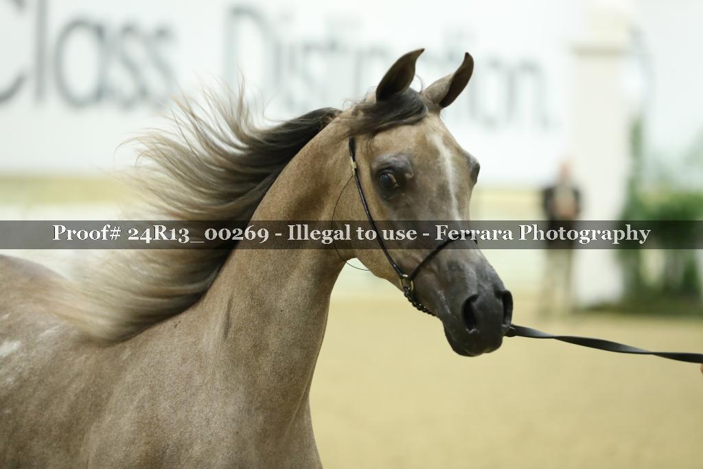 Proof 24R13_00269