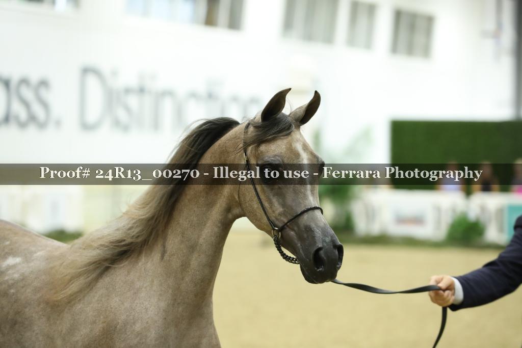 Proof 24R13_00270