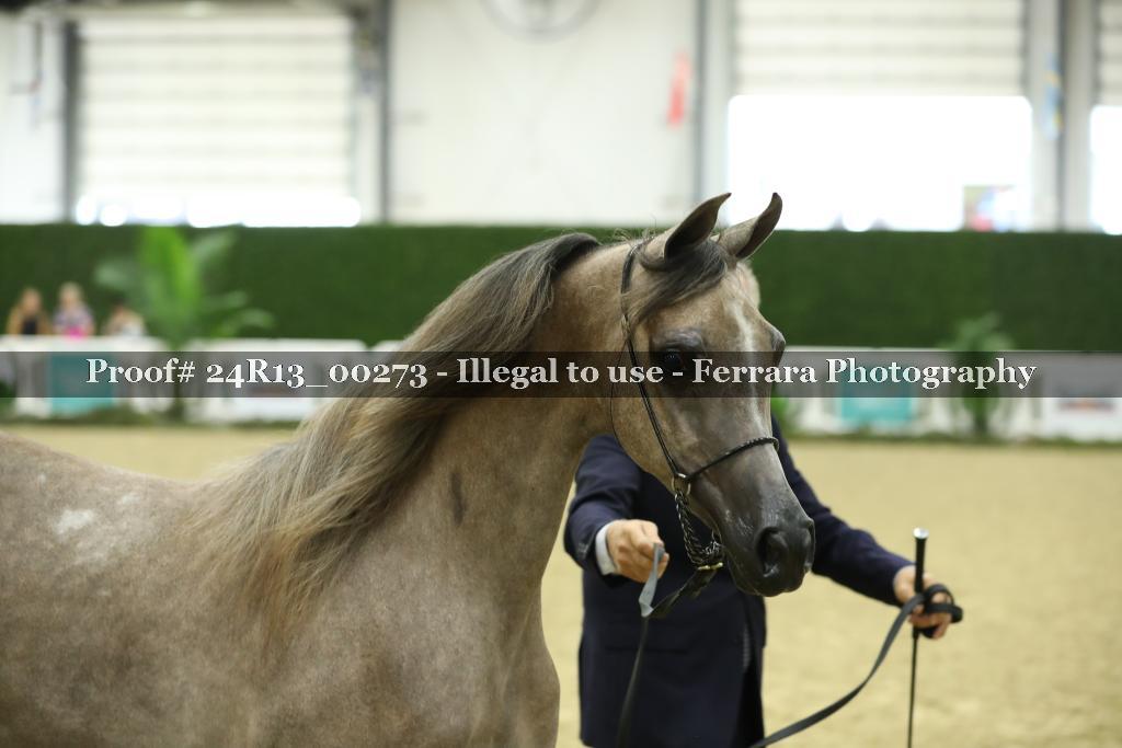 Proof 24R13_00273