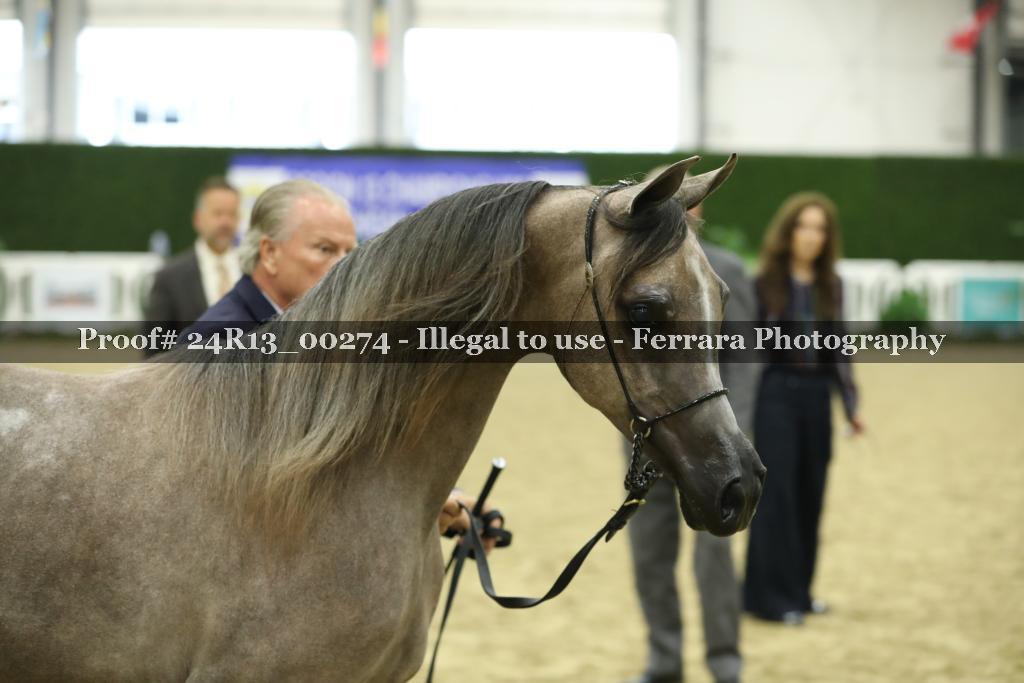 Proof 24R13_00274