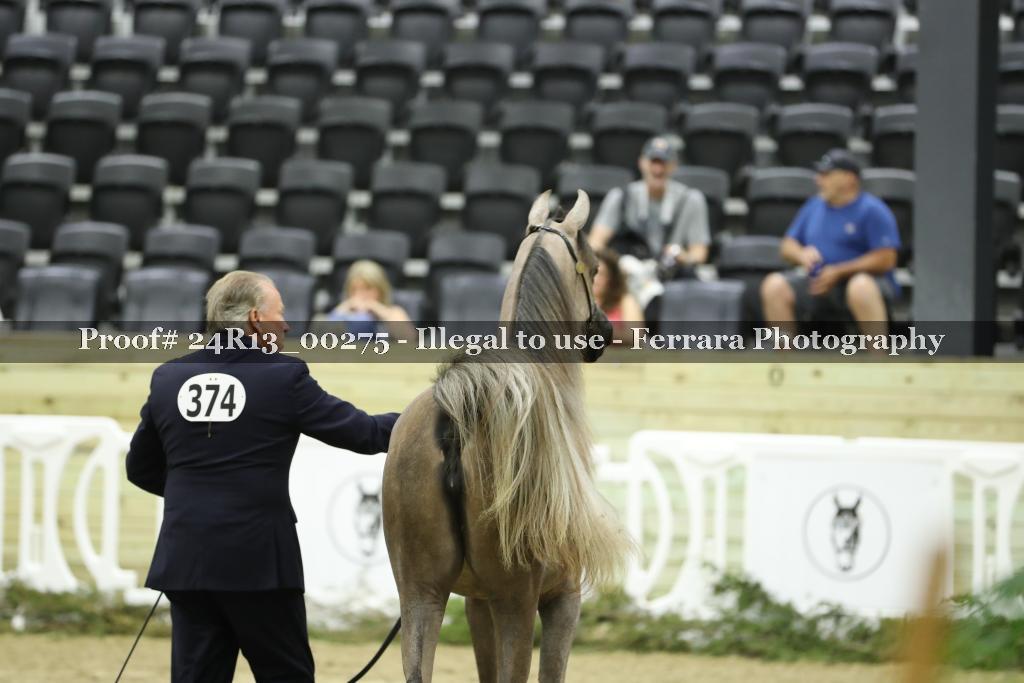 Proof 24R13_00275