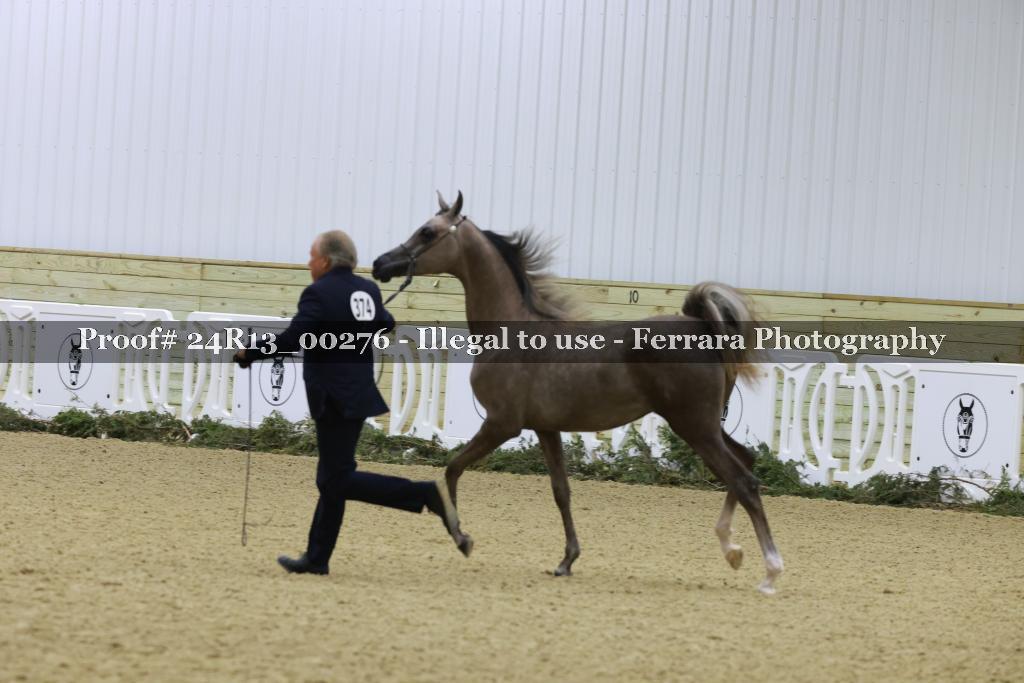 Proof 24R13_00276