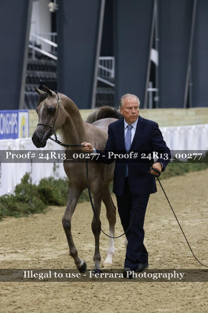 Proof 24R13_00277