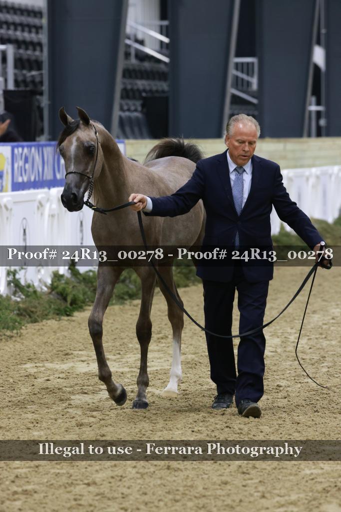 Proof 24R13_00278