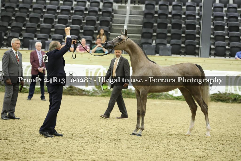Proof 24R13_00287