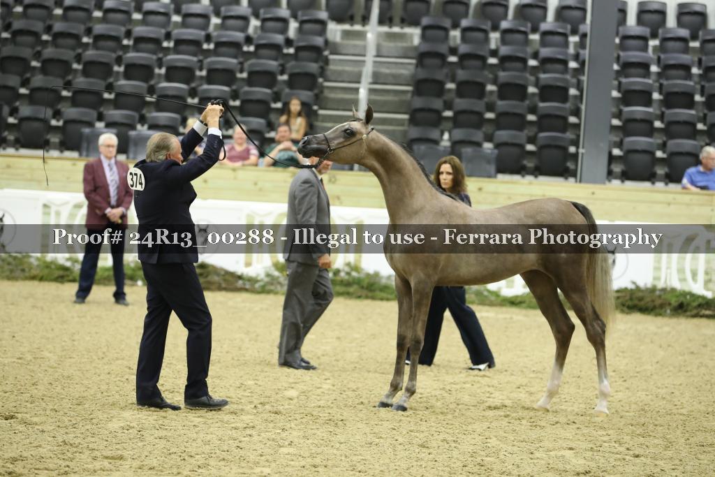 Proof 24R13_00288