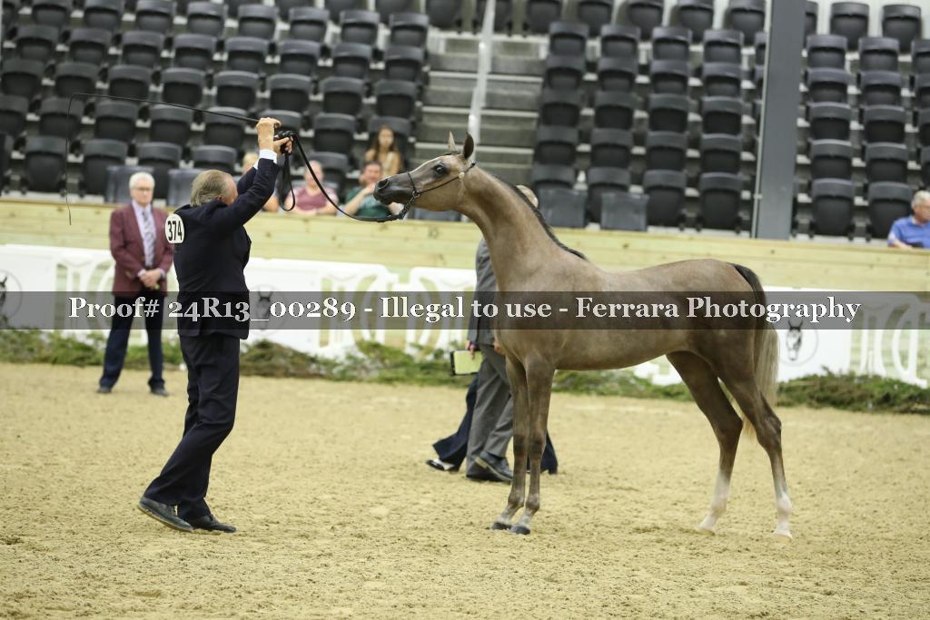 Proof 24R13_00289