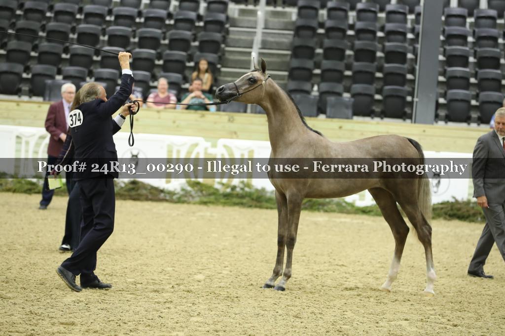 Proof 24R13_00290