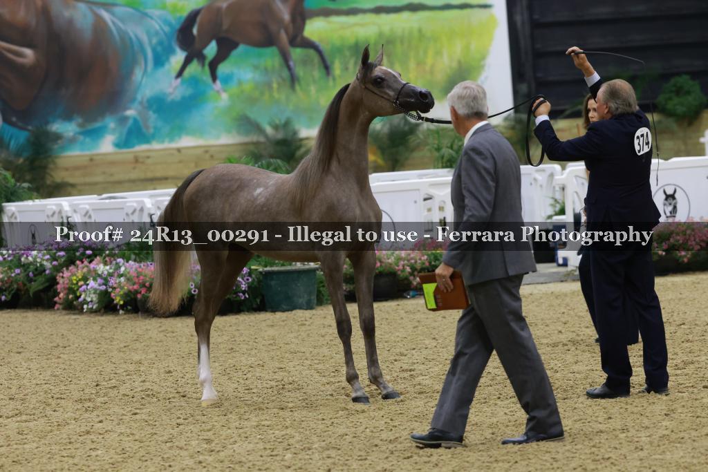 Proof 24R13_00291