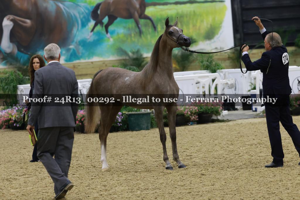 Proof 24R13_00292