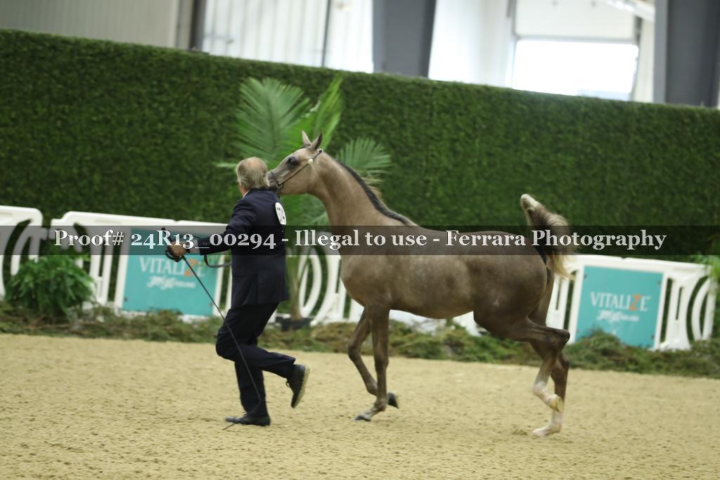 Proof 24R13_00294